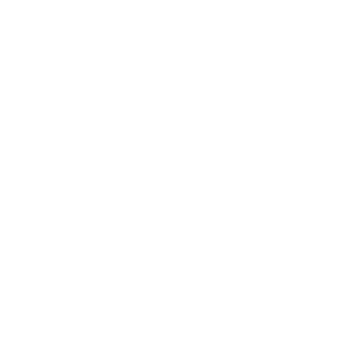Partner logo 1